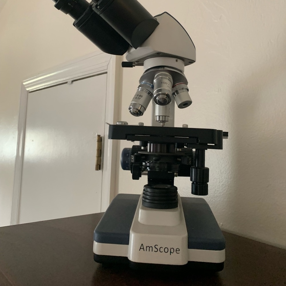 AmScope Microscope